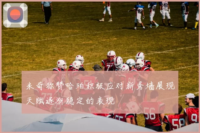 米奇称赞哈珀积极应对新秀墙展现天赋逐渐稳定的表现